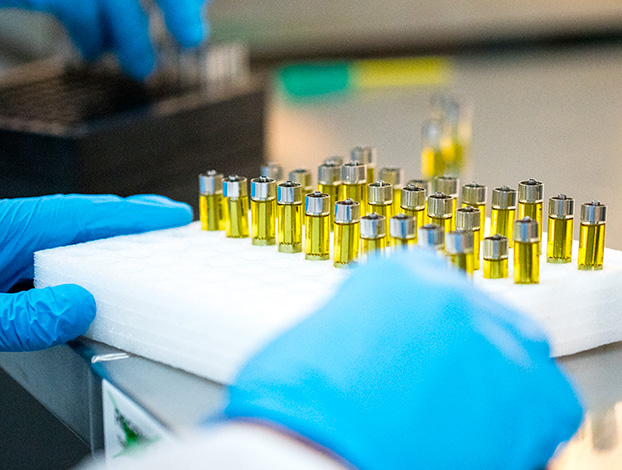 Close up of lab technician wearing blue gloves with tube samples. 