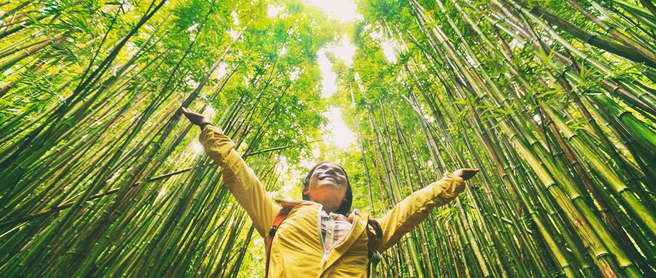 Happy woman in a yellow jacket amongst bamboo trees