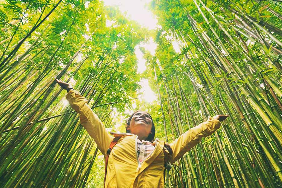 Happy woman in a yellow jacket amongst bamboo trees
