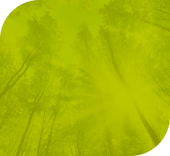 Enviroment-green